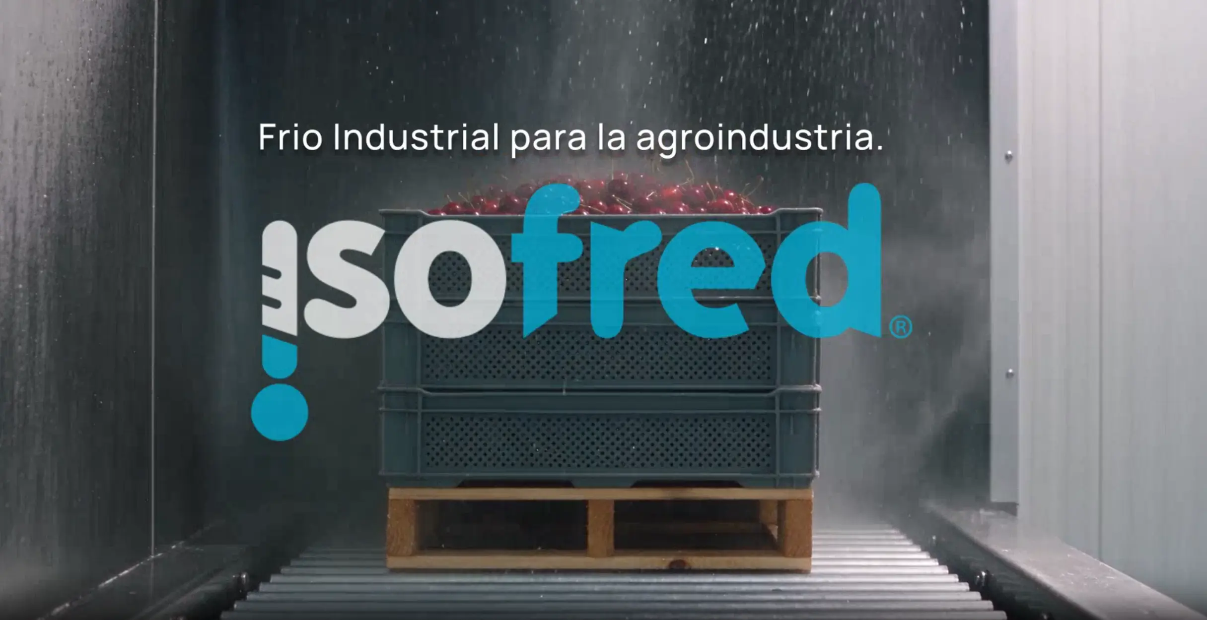 Hydrocooling dinámico: enfriamiento continuo de fruta